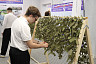 В Саратове школьники соревновались в управлении БПЛА